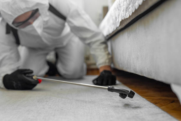 Professional Bed Bug Control technician working in Dillon, SC